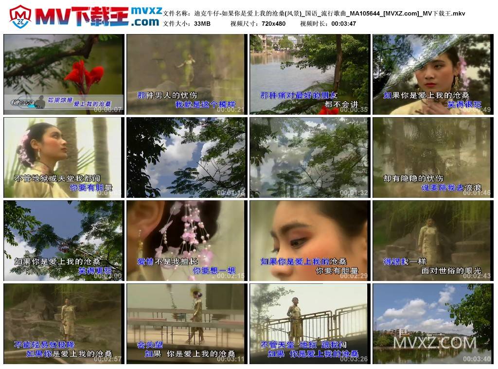 迪克牛仔-如果你是爱上我的沧桑(风景)_国语_流行歌曲_MA105644